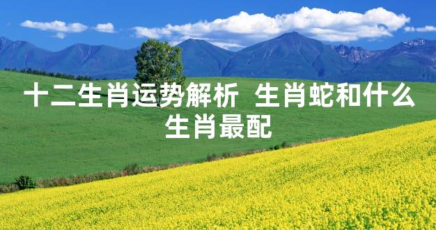 十二生肖运势解析  生肖蛇和什么生肖最配